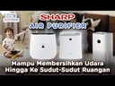 youtube - [Video]