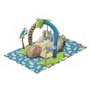 Evenflo Exersaucer Zoo Friends Activity Center