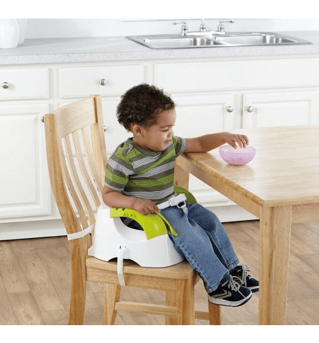 Fisher Price Quick Clean Portable Booster Seat