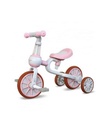 Motion Bike Tricycle