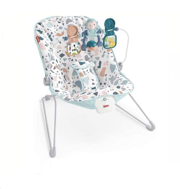 Fisher Price Baby Bouncer