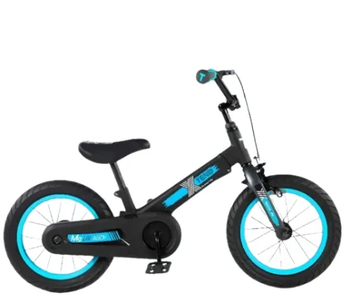 SmartTrike Xtend 3in1