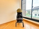 Hamilton XL Stroller